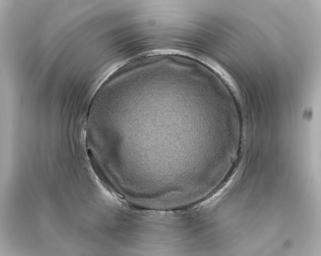 X0000090500809200708102239