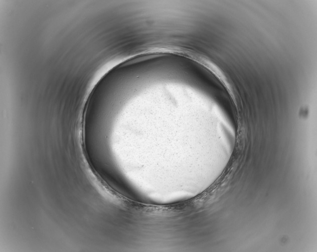 X0000090500811200708102239