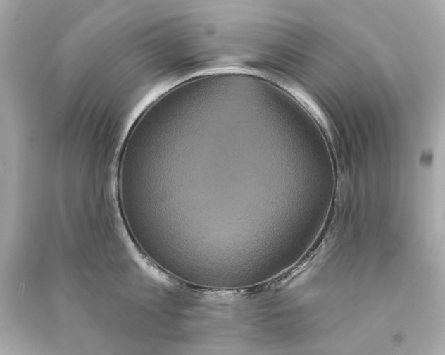 X0000090500813200708102239