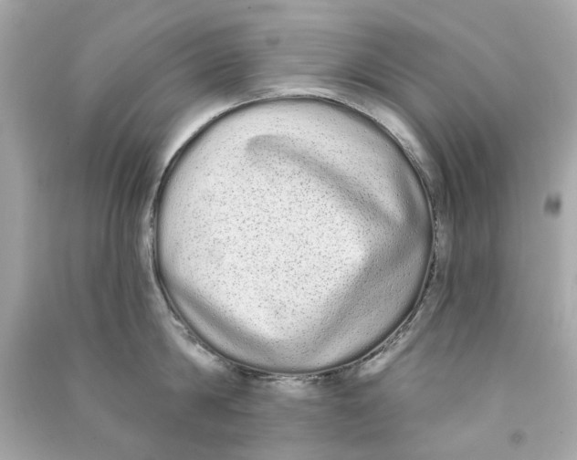 X0000090500814200708102239