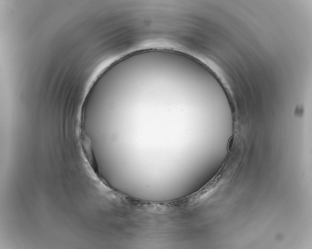 X0000090500815200708102239