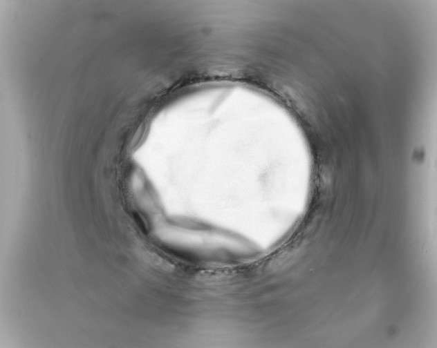 X0000090500817200708102239