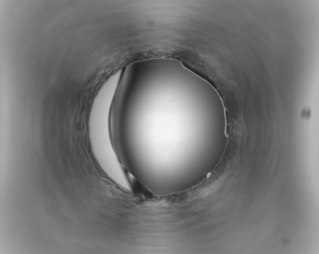 X0000090500818200708102239