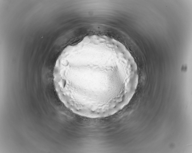 X0000090500819200708102239