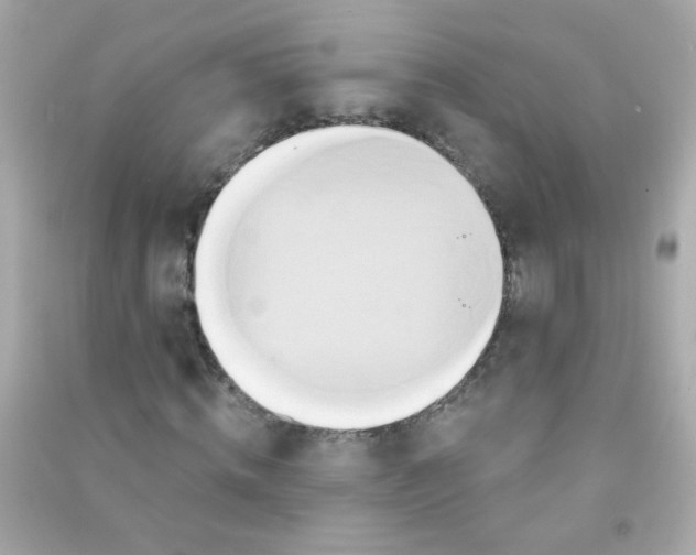 X0000090500820200708102239