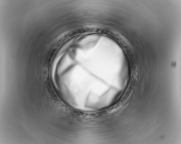 X0000090500821200708102239