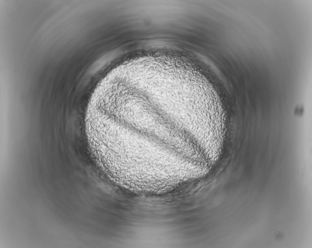 X0000090500823200708102239