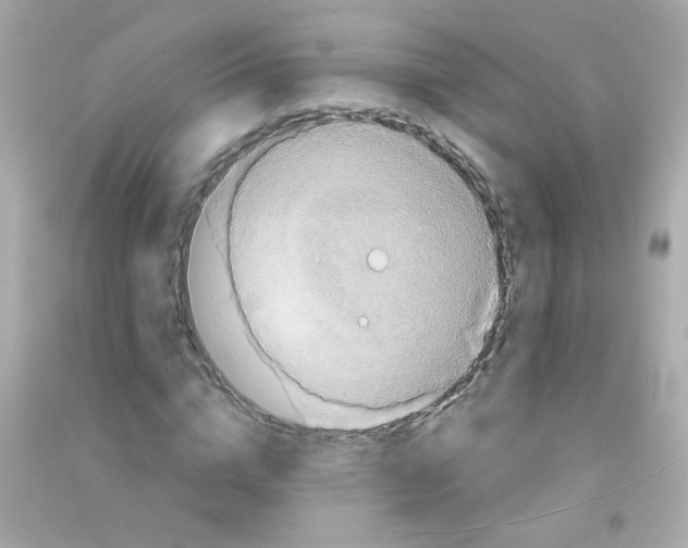 X0000090500824200708102239
