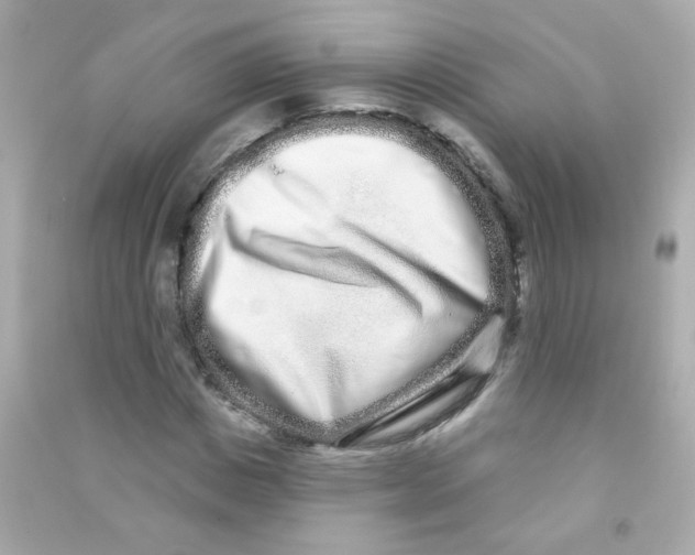 X0000090500825200708102239