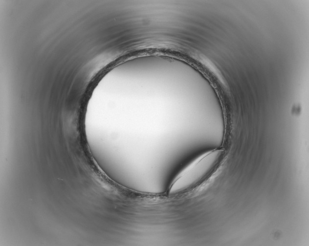 X0000090500826200708102239