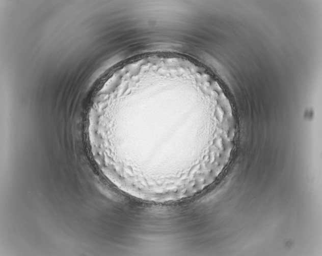 X0000090500827200708102239