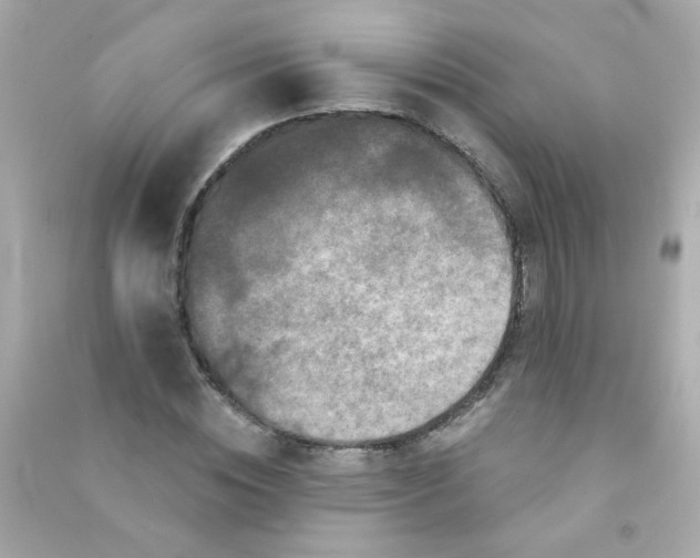 X0000090500828200708102239
