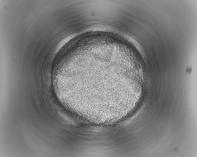 X0000090500829200708102239