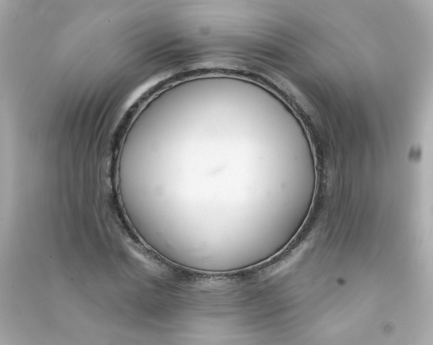 X0000090500830200708102239