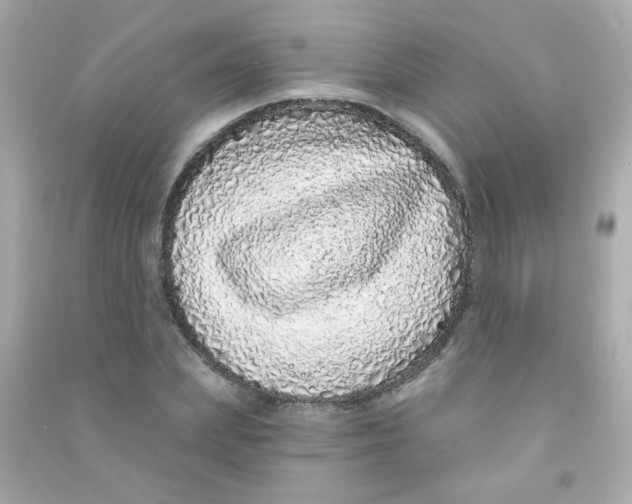 X0000090500831200708102239