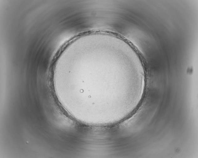 X0000090500832200708102239