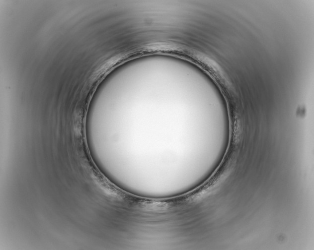 X0000090500833200708102239