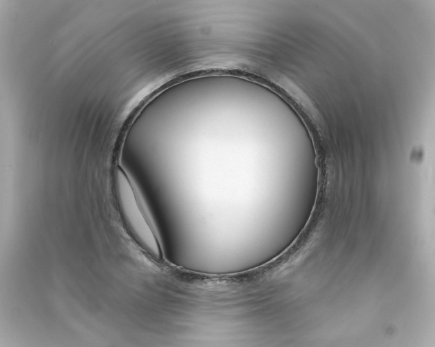 X0000090500834200708102239