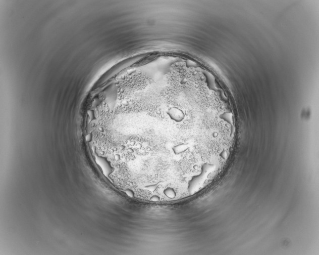 X0000090500835200708102239