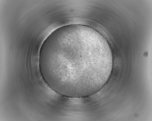 X0000090500836200708102239