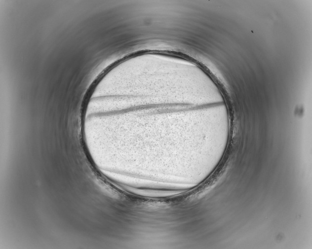 X0000090500837200708102239
