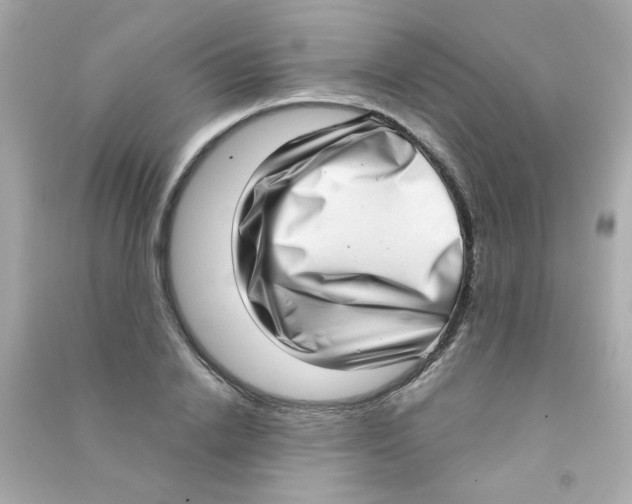X0000090500838200708102239