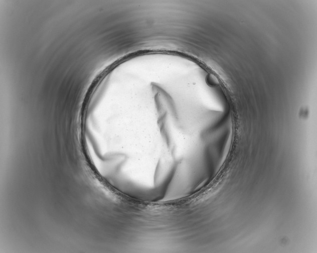 X0000090500840200708102239