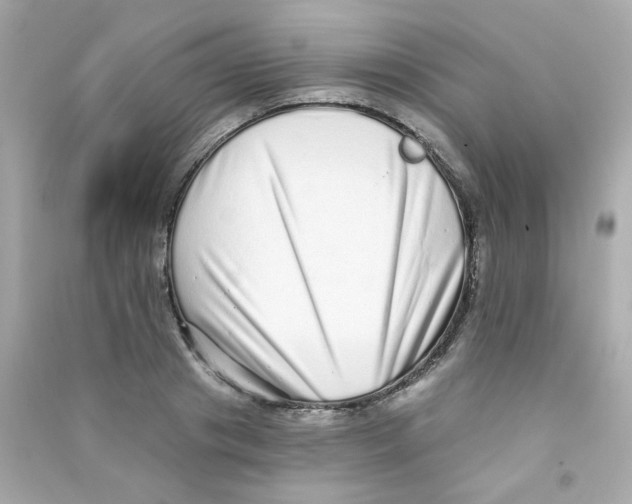 X0000090500841200708102239