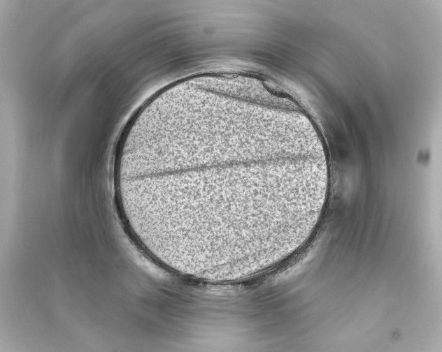 X0000090500843200708102239
