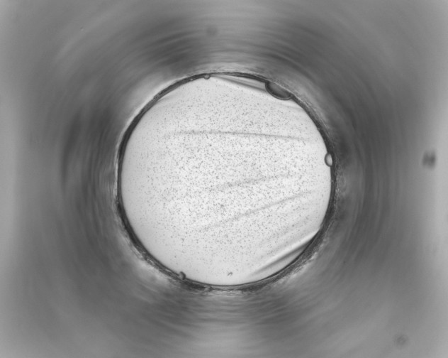 X0000090500844200708102239
