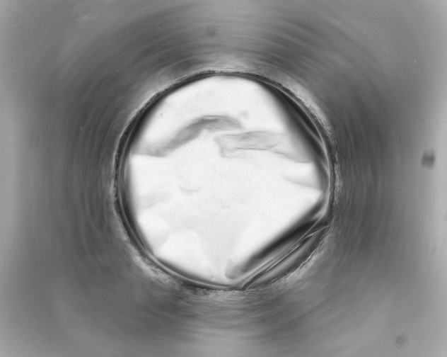 X0000090500845200708102239