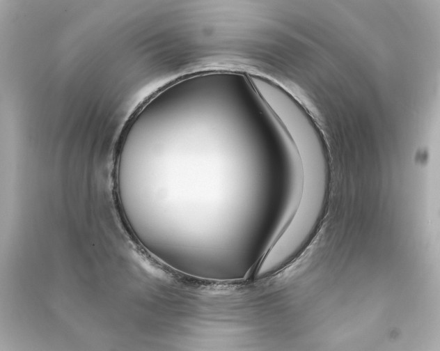 X0000090500846200708102239