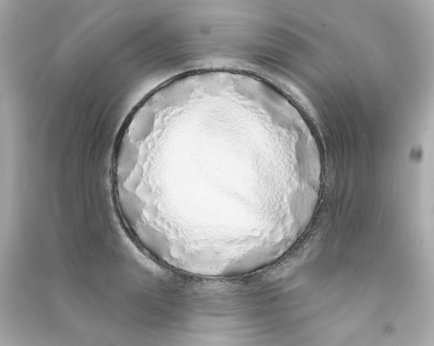 X0000090500847200708102239