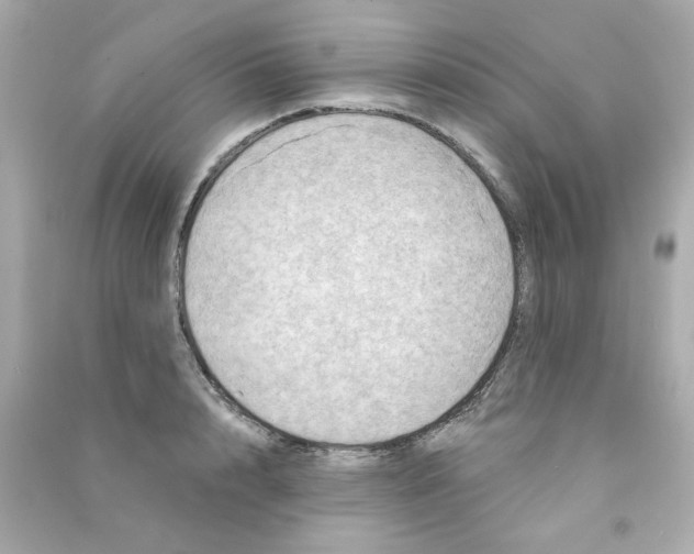 X0000090500848200708102239