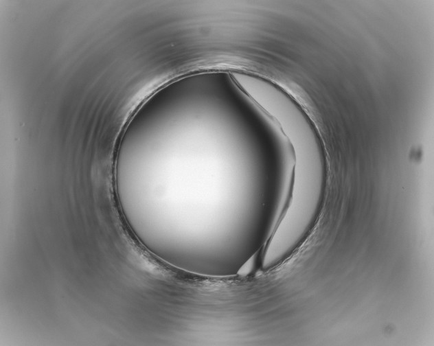 X0000090500850200708102239