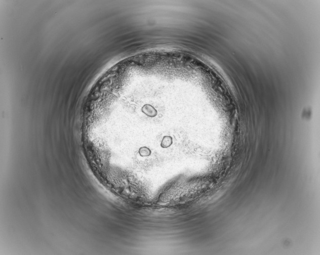 X0000090500851200708102239