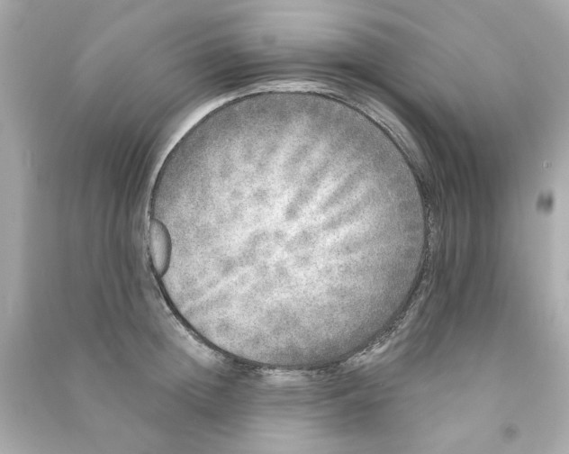 X0000090500852200708102239