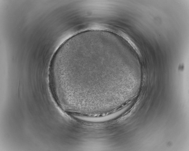 X0000090500853200708102239