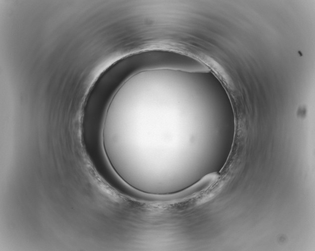 X0000090500854200708102239
