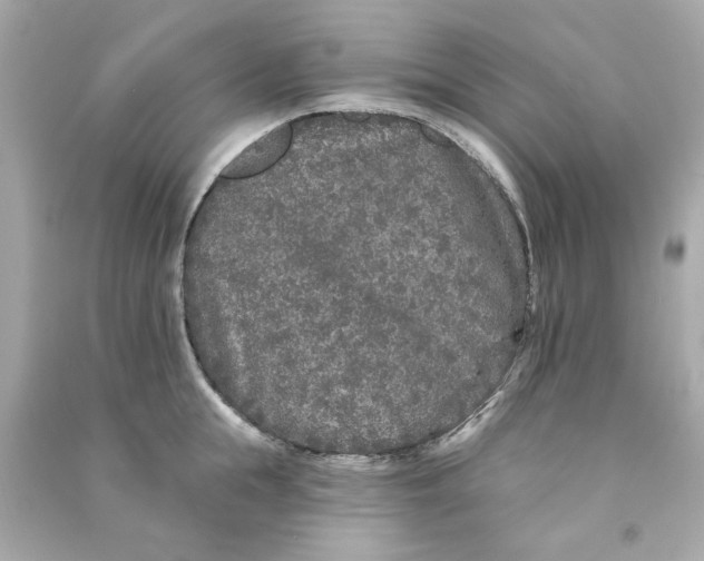 X0000090500855200708102239