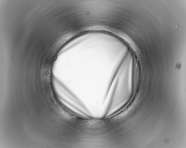 X0000090500857200708102239