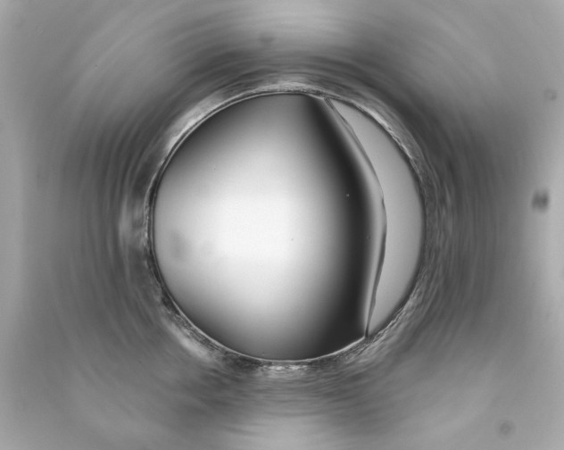 X0000090500858200708102239