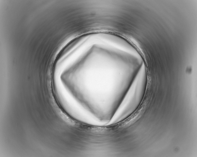 X0000090500859200708102239
