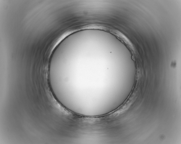 X0000090500860200708102239