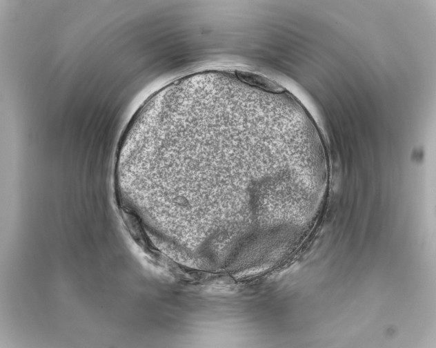 X0000090500861200708102239