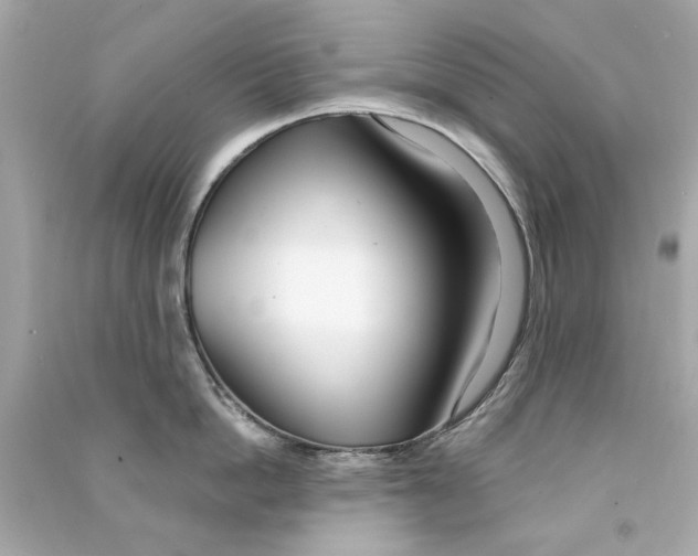 X0000090500862200708102239