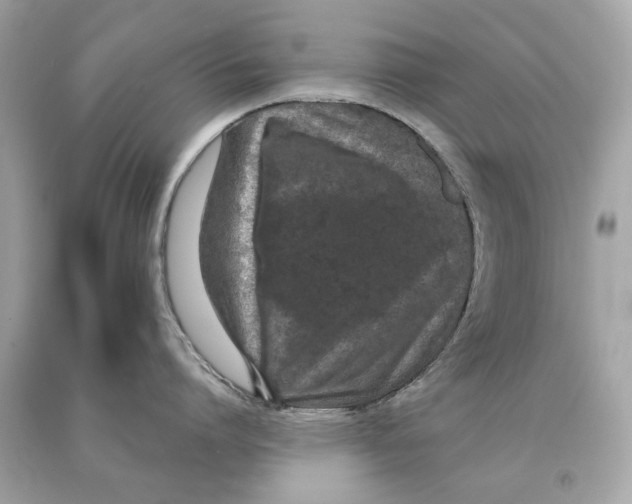 X0000090500864200708102239