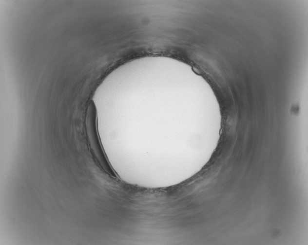 X0000090500865200708102239