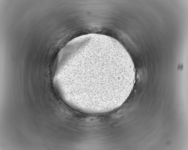 X0000090500867200708102239