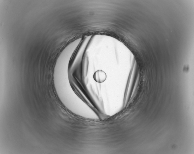 X0000090500868200708102238